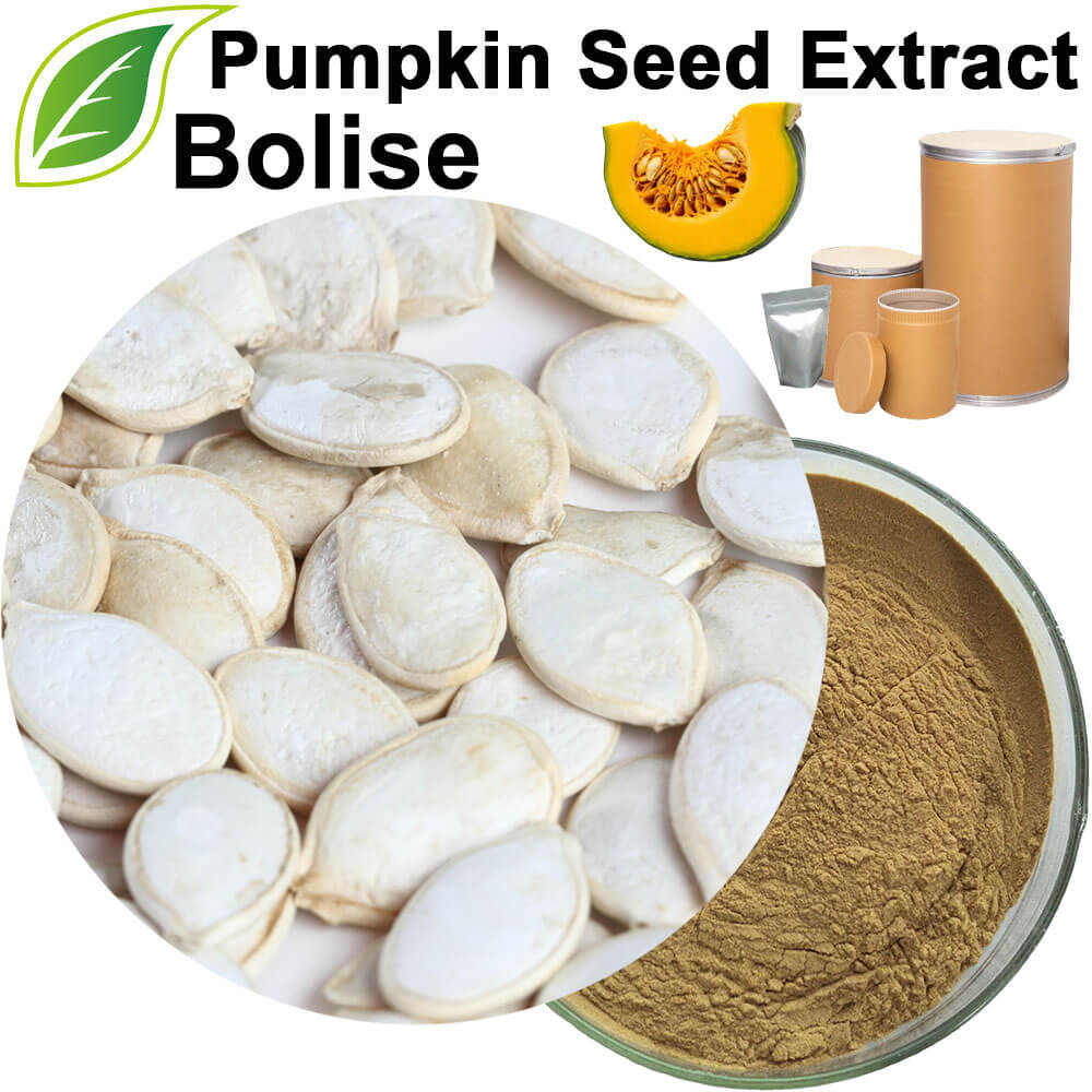 Pumpkin Seed Extract(Pepitas Extract)