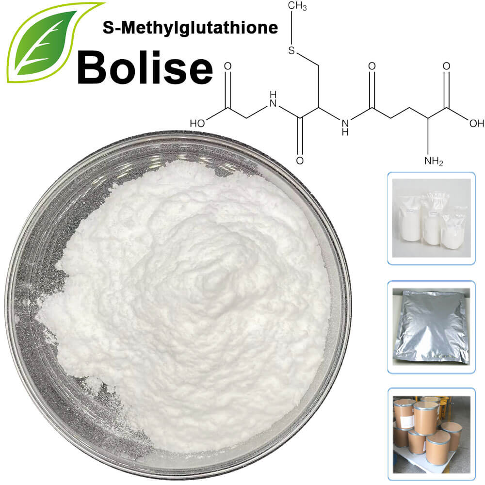 S-Methylglutathione