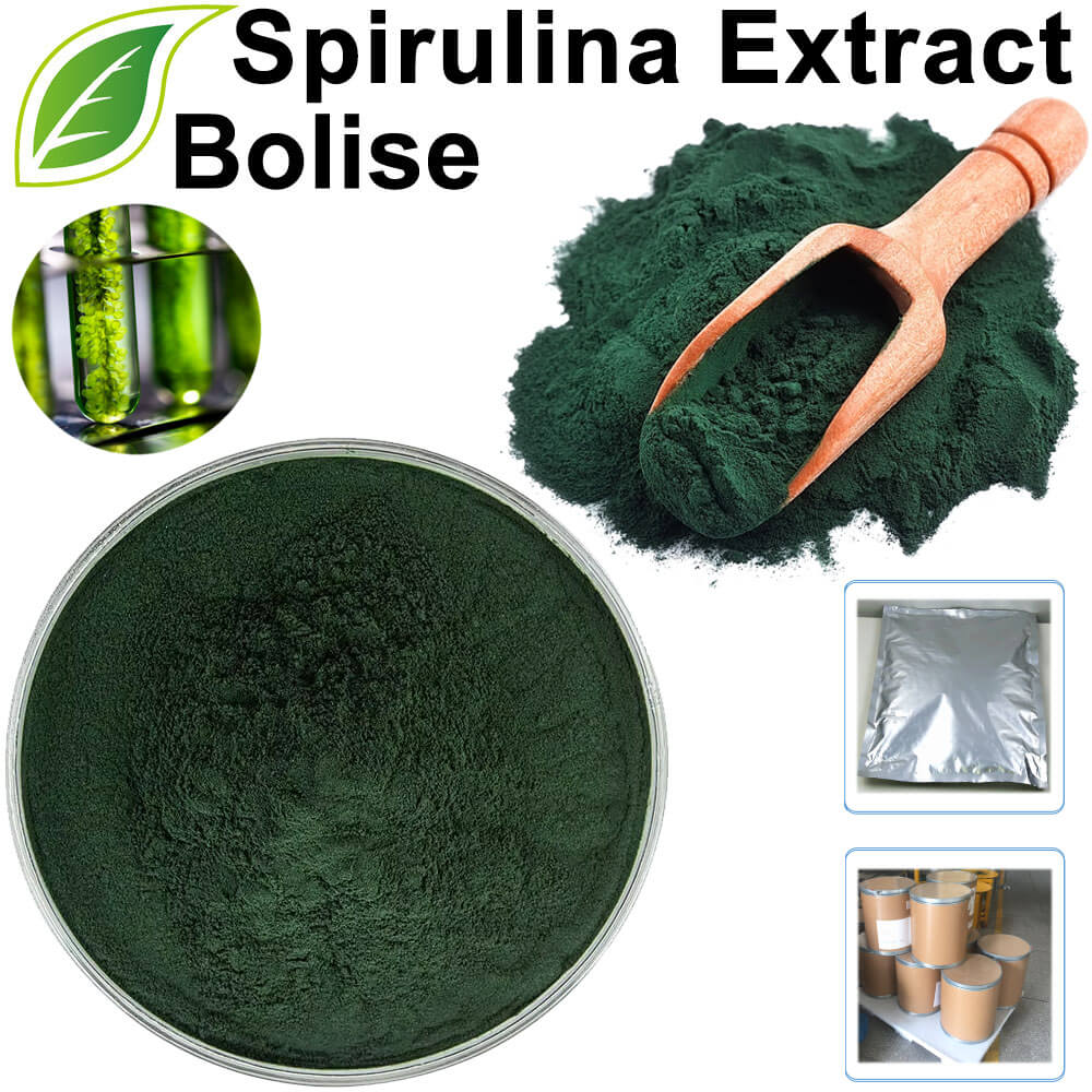 Spirulina Extract