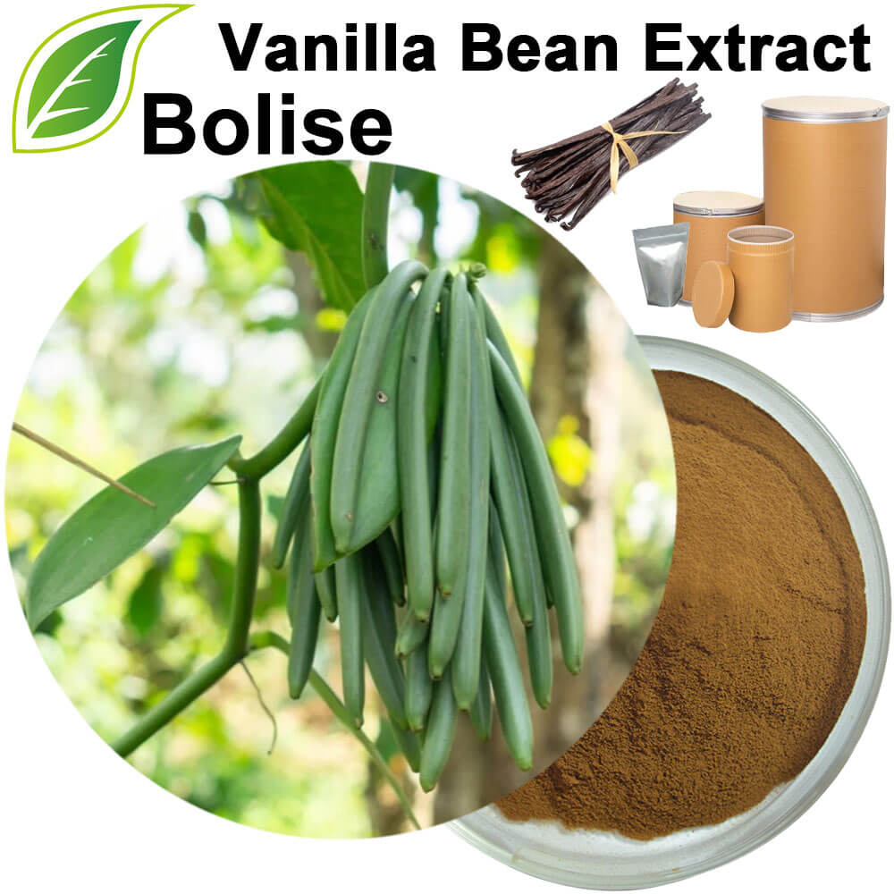 Vanilla Bean Extract