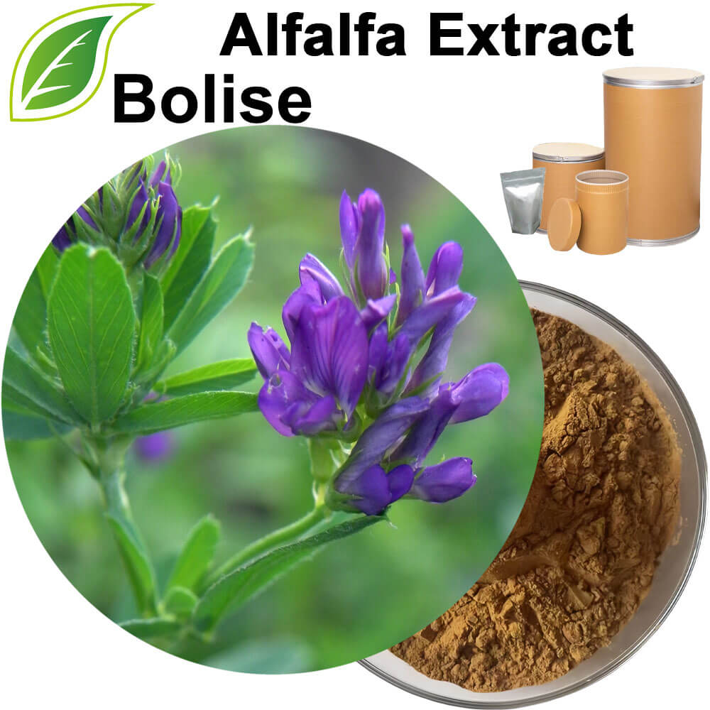 Alfalfa Extract