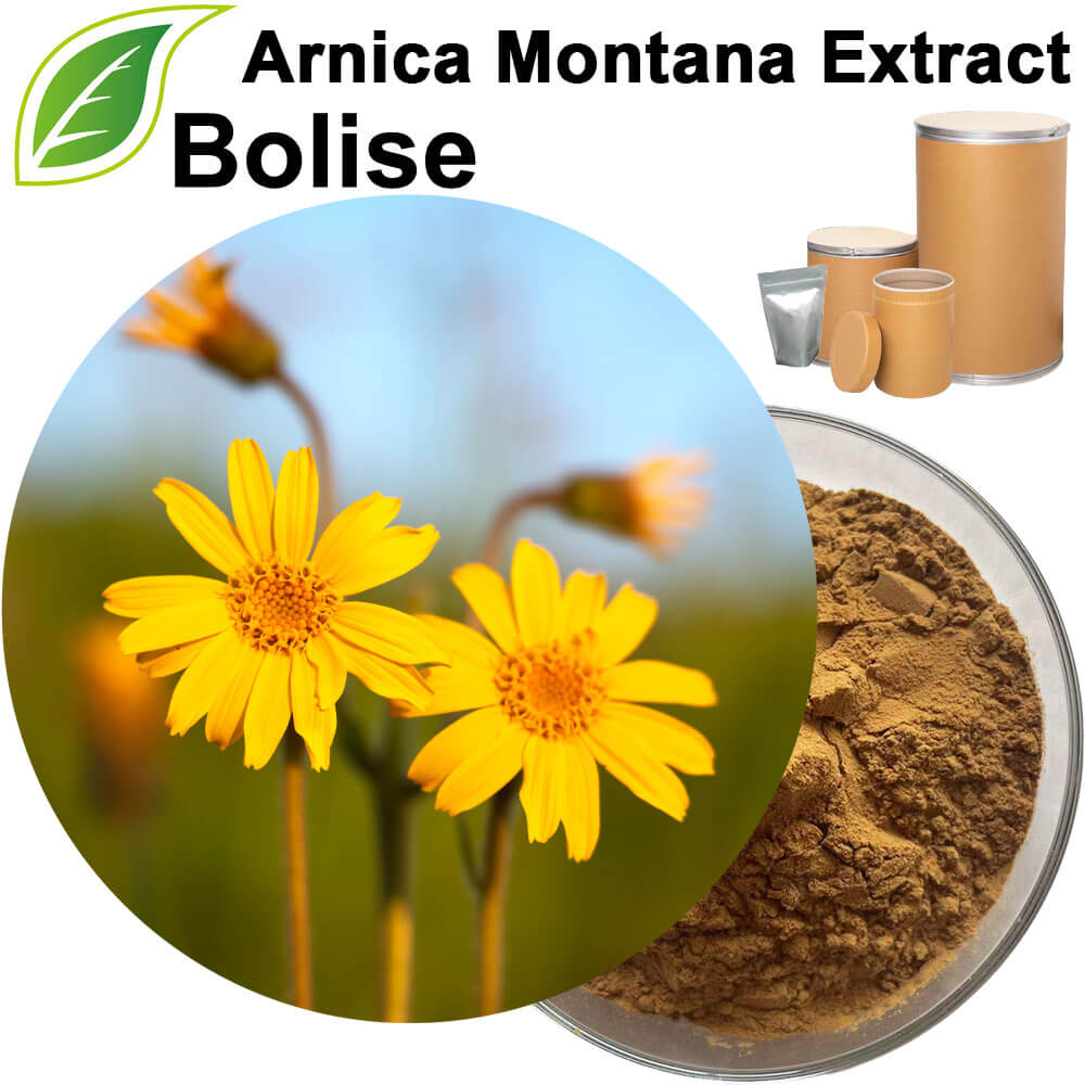 Arnica Montana Extract