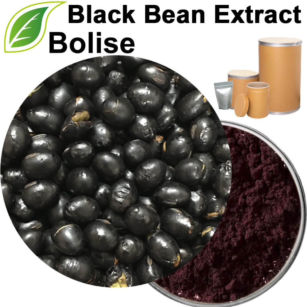 Black Bean Extract