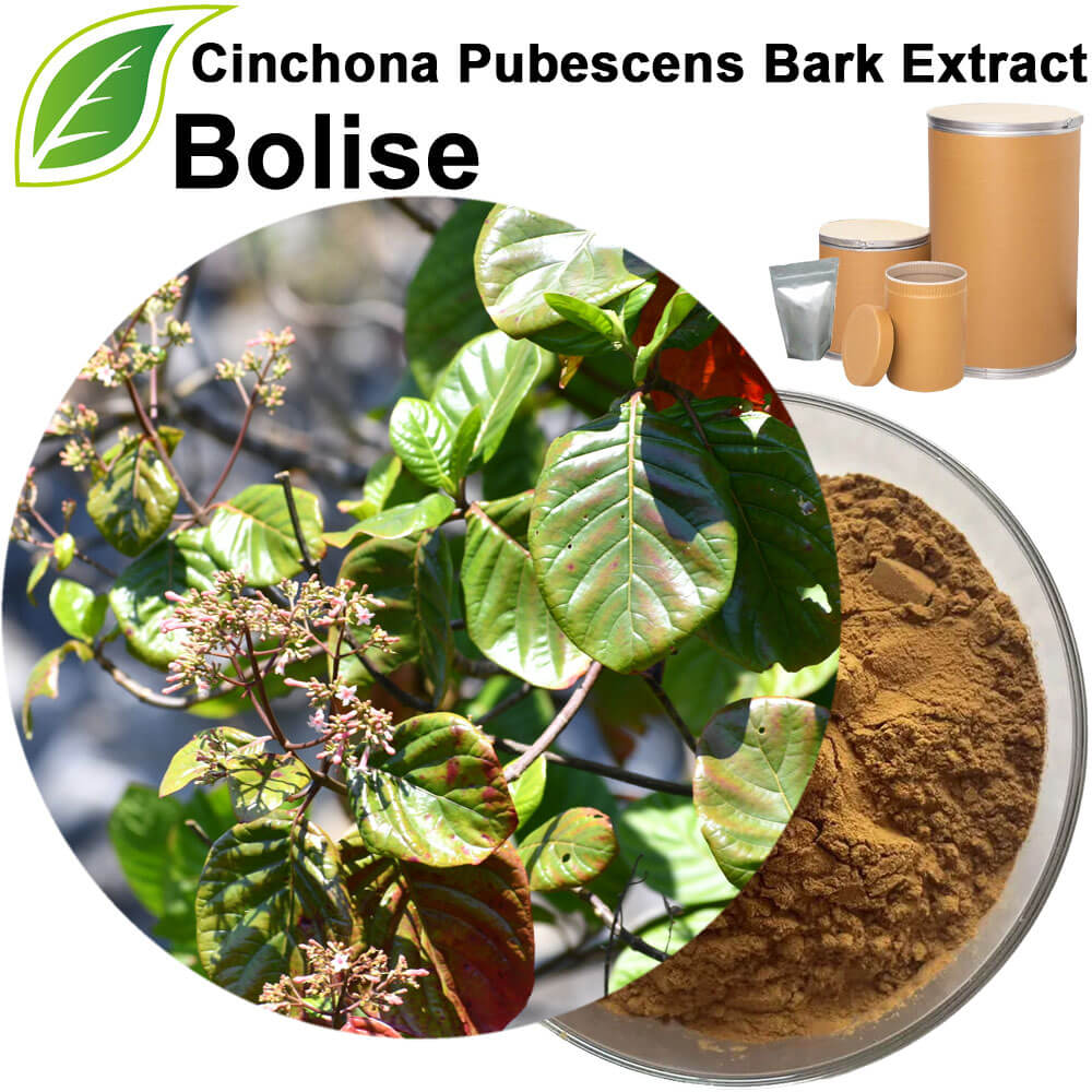 Cinchona Pubescens Bark Extract