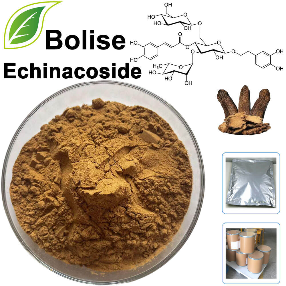 Echinacoside