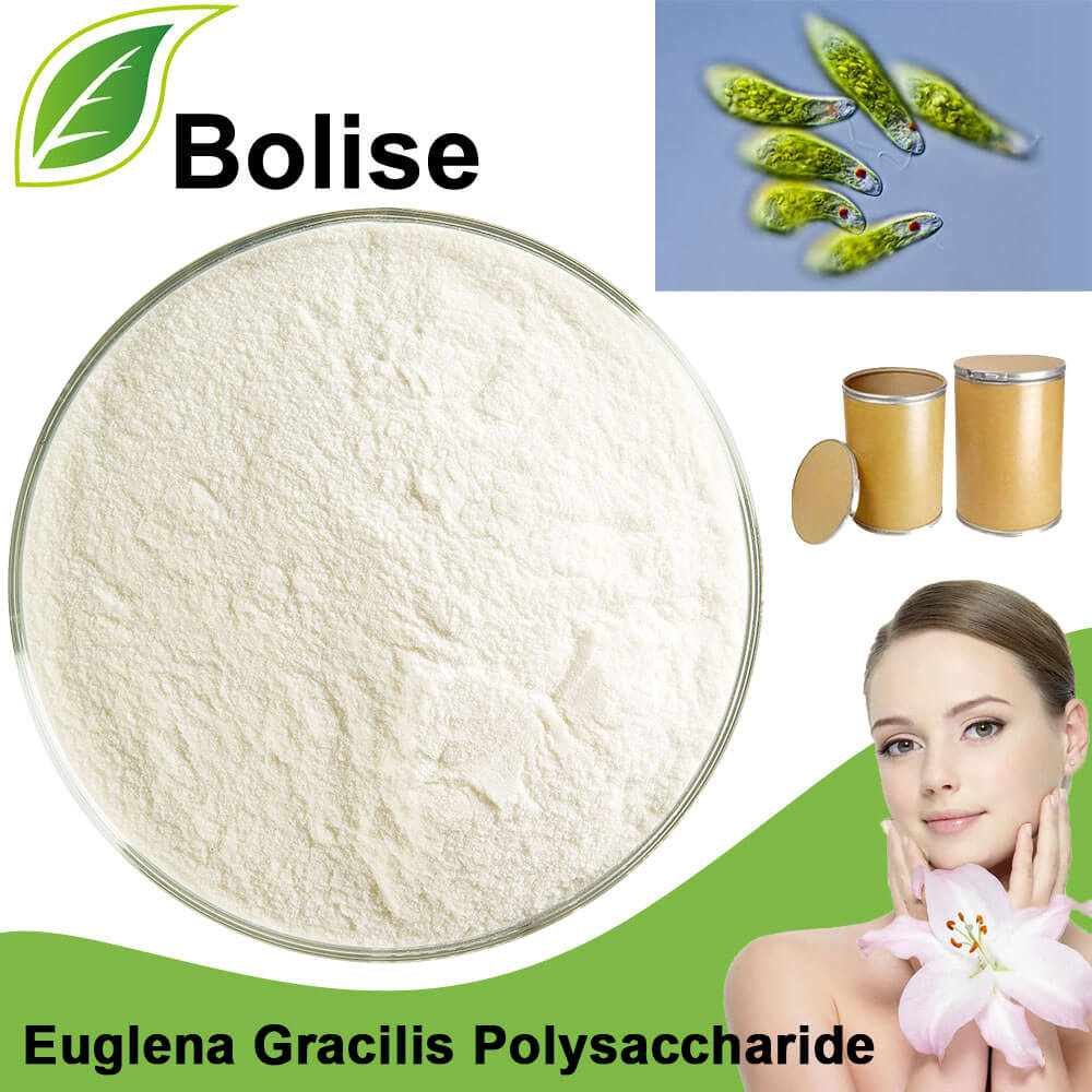 Euglena Gracilis Polysaccharide