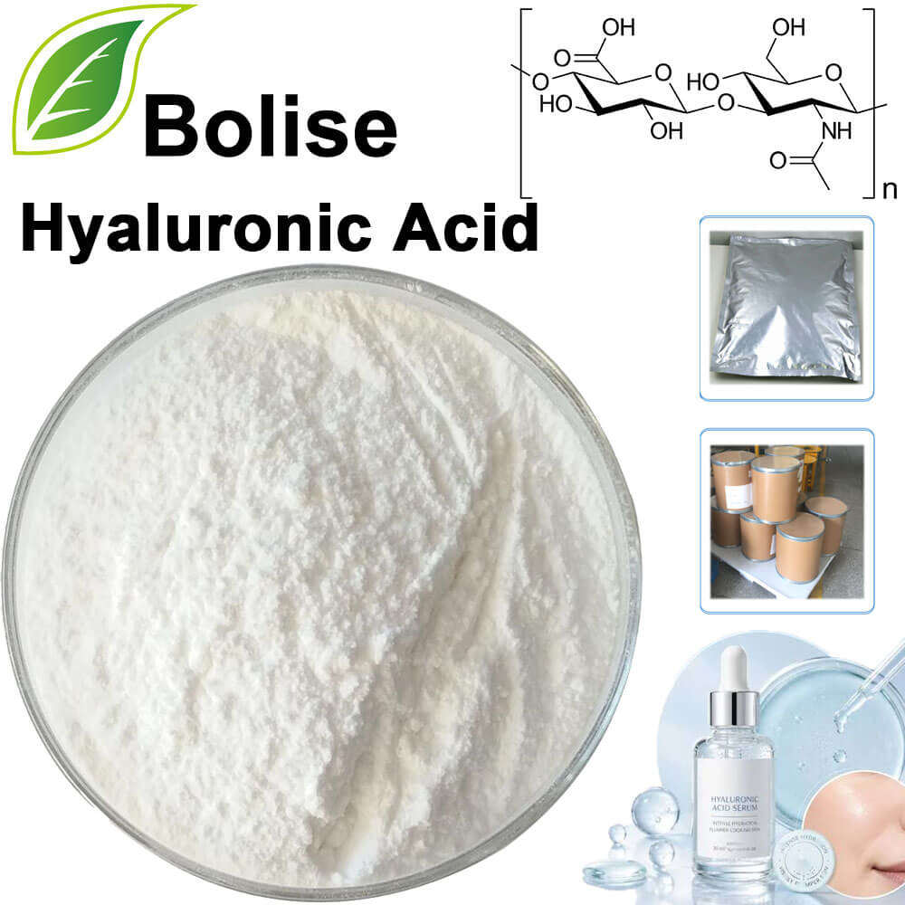 Hyaluronic Acid(HA)