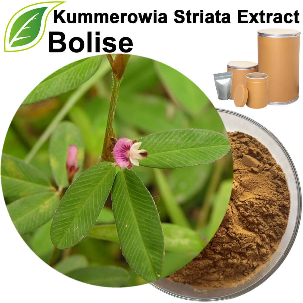 Kummerowia Striata Extract