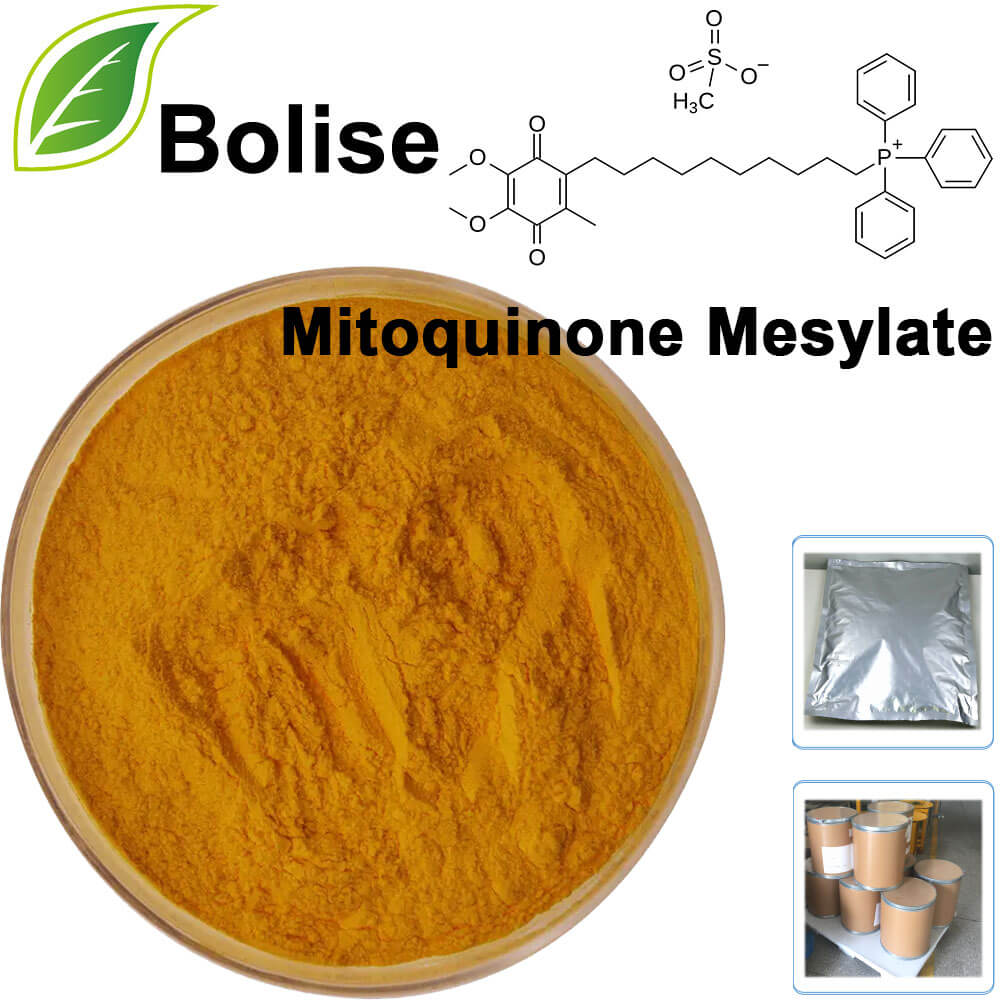 Mitoquinone Mesylate (MitoQ)