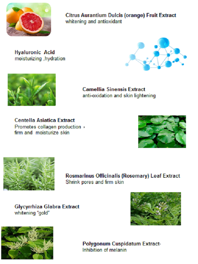 Main ingredients
