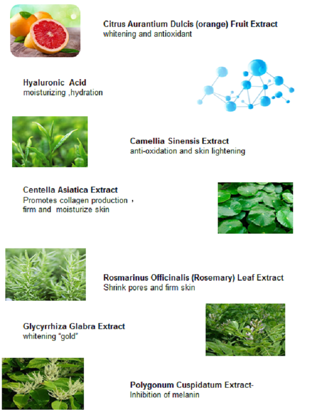 مواد تشکیل دهنده اصلی