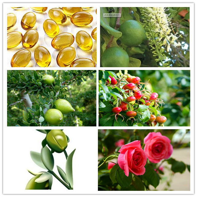 OEM Prive etikèt figi tretman konpoze Rose esansyèl lwil oliv