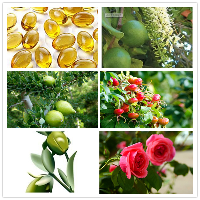 OEM Private Label Face Treatment Compound Rose Essential Oil