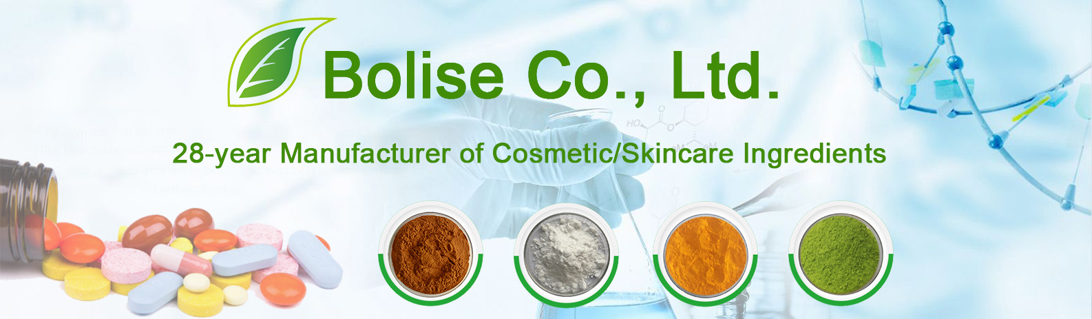 Bolise Co., Ltd.