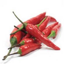 Capsaicin Capsaicin