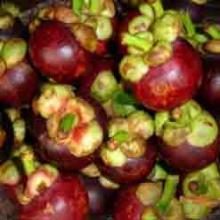Mangosteen extract Mangosteen extract