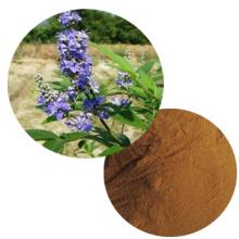 Vitex Agnus Castus Extract(Chaste Berry) Extract Powder Vitex Agnus Castus Extract(Chaste Berry) Extract Powder