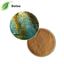 Macrocystis Pyrifera Extract Macrocystis Pyrifera Extract