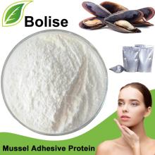 Mussel Adhesive Protein (MAP)