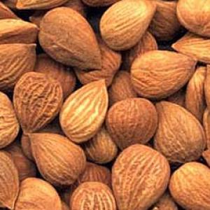 Apricot Kernel Oil Apricot Kernel Oil