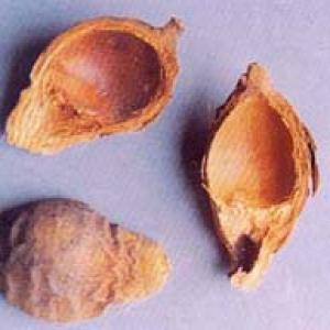 Areca Peel Extract(Pericarpium Arecae Extract) Areca Peel Extract(Pericarpium Arecae Extract)