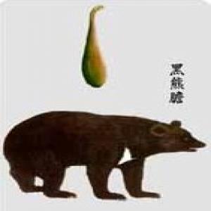 Bear Gall extract Bear Gall extract