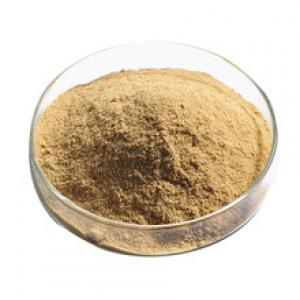 Brewer’s Yeast Powder Brewer’s Yeast Powder