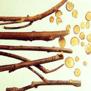 Cassia Twig Extract(Ramulus Cinnamomi Extract) Cassia Twig Extract(Ramulus Cinnamomi Extract)