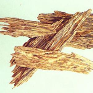 Chinese Eaglewood Extract Chinese Eaglewood Extract