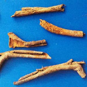 Chinese Wolfberry Root-bark Extract(Cortex Lycii extract) Chinese Wolfberry Root-bark Extract(Cortex Lycii extract)