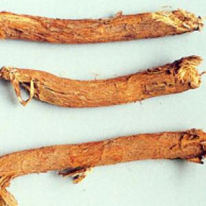 Ephedra Root Extract(Radix Ephedrae Extract) Ephedra Root Extract(Radix Ephedrae Extract)