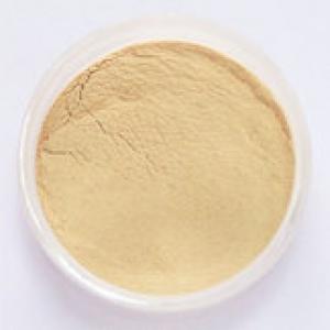 Ginseng fruit extract Ginseng fruit extract