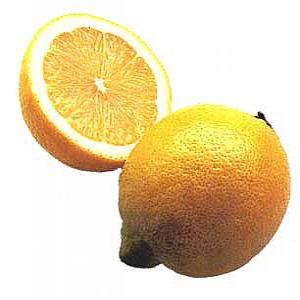 Lemon Extract(Citron extract) Lemon Extract(Citron extract)