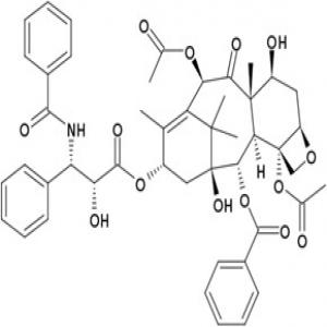 Paclitaxel Paclitaxel
