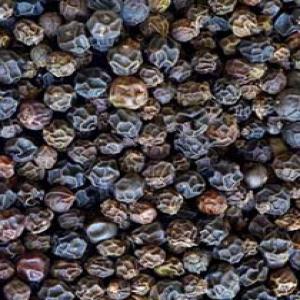 Piperine(Black pepper extract) Piperine(Black pepper extract)