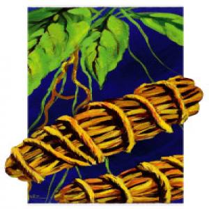 Sarsaparilla root extract Sarsaparilla root extract