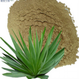 Yucca aloifolia extract Yucca aloifolia extract
