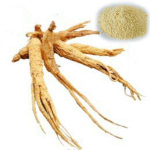 Brazilian Ginseng (Pfaffia glomerata) Extract Brazilian Ginseng (Pfaffia glomerata) Extract
