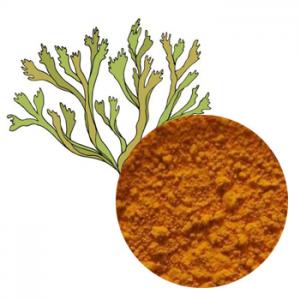 Extract Thalli Cetrariae (Iceland Moss Extract) Extract Thalli Cetrariae (Iceland Moss Extract)