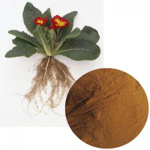 Primula Root Extract Primula Root Extract