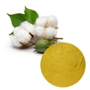 Spec-Cotton Seed Extract(Acetate Gossypol powder) Spec-Cotton Seed Extract(Acetate Gossypol powder)