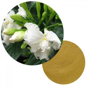 Tabernaemontana Divaricata Flower Extract Tabernaemontana Divaricata Flower Extract
