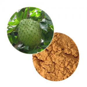 Graviola Extract Graviola Extract