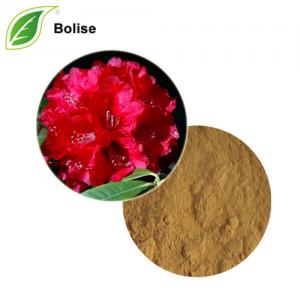Rhododendron Arboreum Flower Extract (Solvent Extraction) Powder Rhododendron Arboreum Flower Extract (Solvent Extraction) Powder