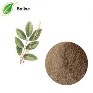 Jaborandi Leaf Extract Jaborandi Leaf Extract