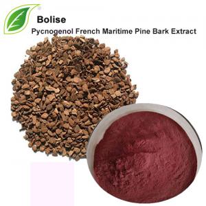 Pycnogenol French Maritime Pine Bark Extract Pycnogenol French Maritime Pine Bark Extract