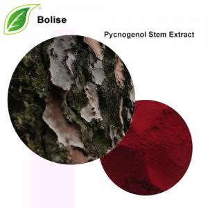 Pycnogenol Stem Extract Pycnogenol Stem Extract