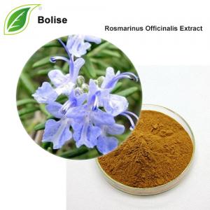 Rosmarinus Officinalis Extract Rosmarinus Officinalis Extract