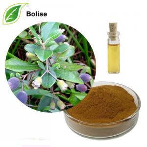 Myrtle Leaf Extract (Essential oils) Myrtle Leaf Extract (Essential oils)