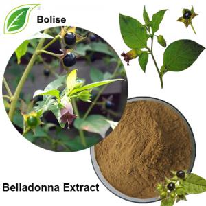 Belladonna Extract(Deadly nightshade extract) Belladonna Extract(Deadly nightshade extract)